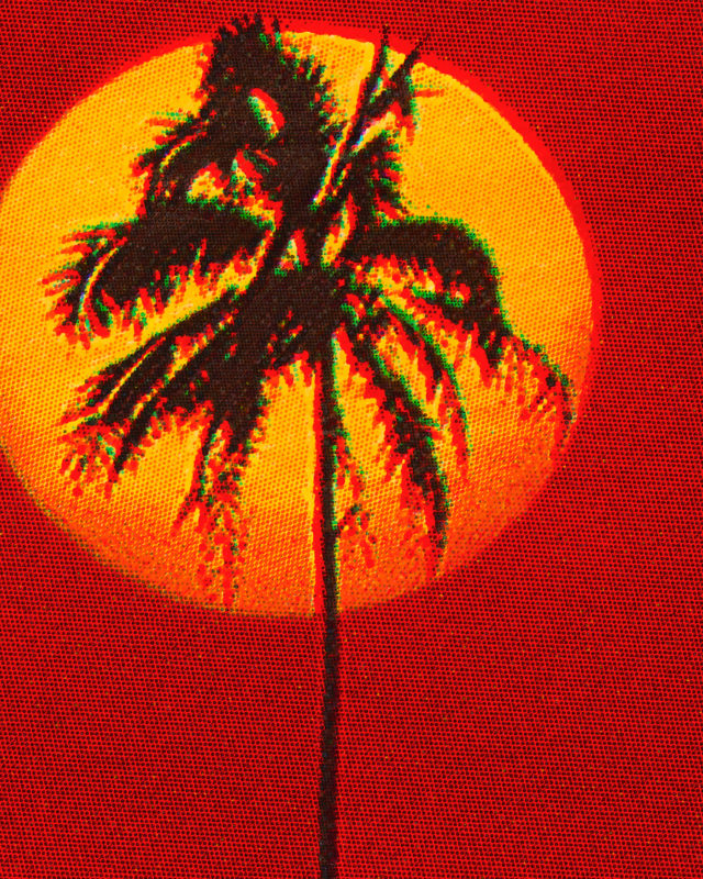 Palm Tree. Roger Eberhard