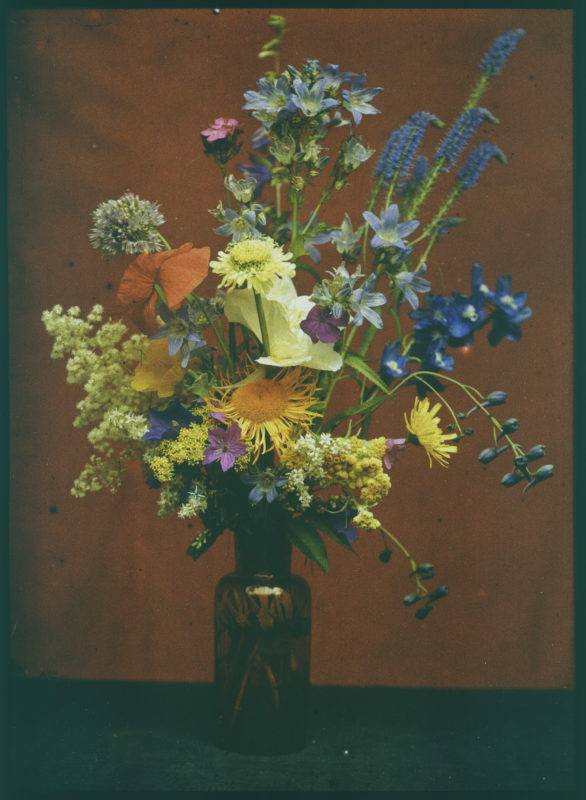 7.	Autochrome pris par Reiss. Crédit : UNIL, collection photographique Reiss